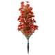 thumbnail image 4 of Flores Primavera y Verano Patio Jardines Decoración Hogar Verde Crea Fácilmente Un Jardín De Ensueño Tu Vida Todos Los Días, 4 of 7