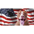 thumbnail image 1 of Red Pitbull On U.S. Flag Photo License Plate, 1 of 1