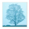 thumbnail image 1 of Stupell Industries Spring Tree Blue Sky Landscape Photograph Unframed Art Print Wall Art, 12x12, by James McLoughlin, 1 of 5