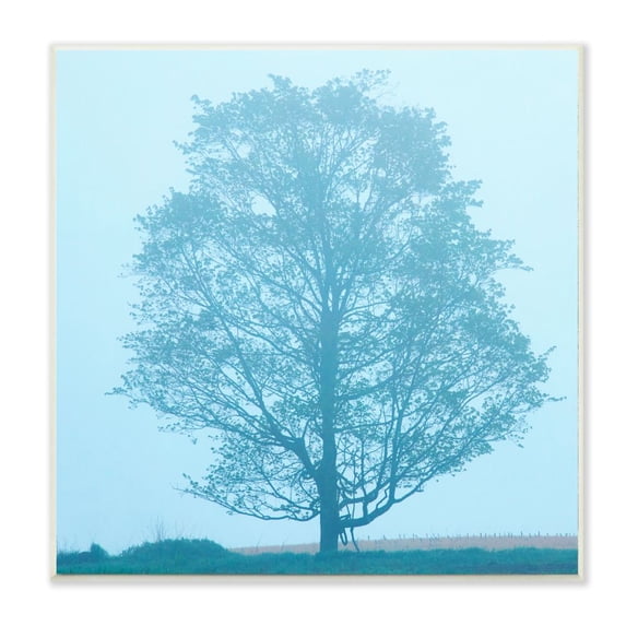 Stupell Industries Spring Tree Blue Sky Landscape Photograph Unframed Art Print Wall Art, 12x12, by James McLoughlin