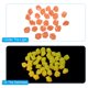 thumbnail image 4 of 500uds Rocas Resplandecientes Unique Bargains 10-15mm Naranja, 4 of 7