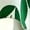Green, variant on Elegant Green Leaf Pattern Wrap Cap Sleeve Fitted Maxi Dress For Women Spring Summer