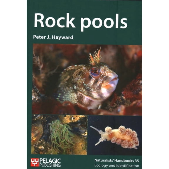 Rock Pools (Paperback)
