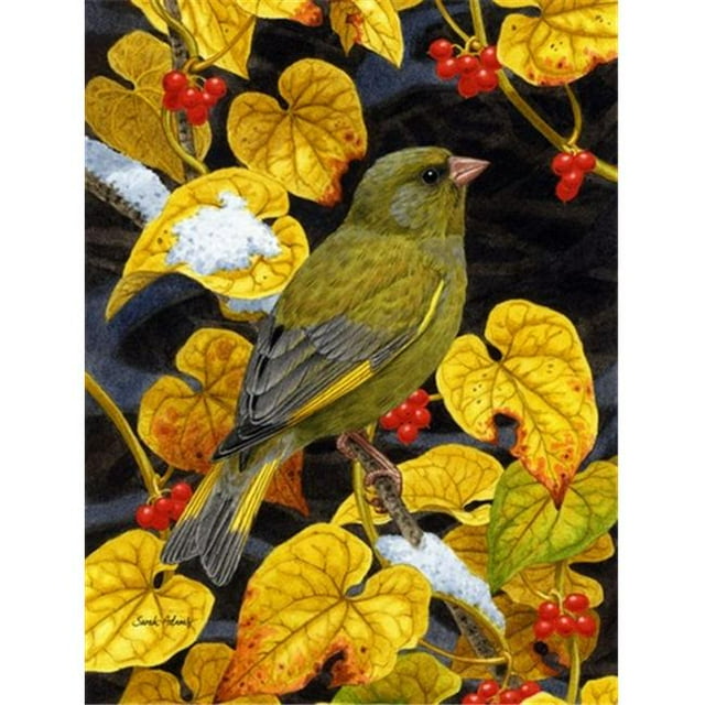 Carolines Treasures ASA2069CHF European Greenfinch Flag Canvas House Size