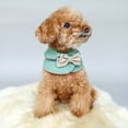 thumbnail image 6 of SPRING PARK Pet Dog Cat Bowknot Princess Style Cape Outfit Costume Party Fun, 6 of 7