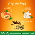 thumbnail image 5 of Garnier Whole Blends Shampoo with Moroccan Argan & Camellia Oils Extracts 12.5 FL OZ, 5 of 9