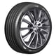 thumbnail image 1 of Llanta Roadtrack TERRENA UHP 225/45ZR17 94W XL, 1 of 3