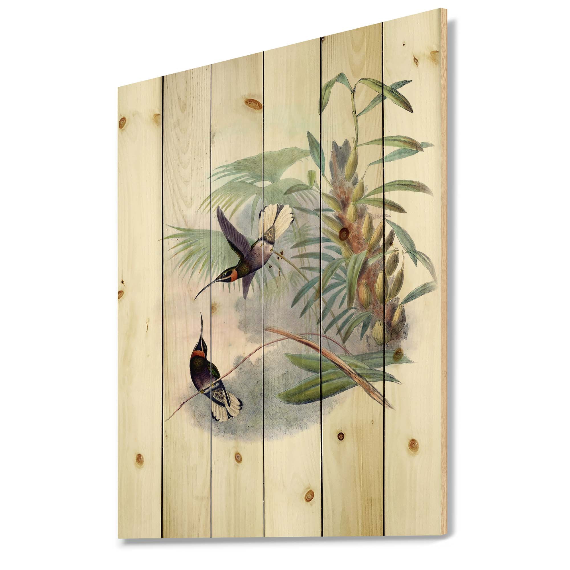 Designart 'Ancient Hummingbird On A Branch' Traditional Print on Natural Pine Wood
