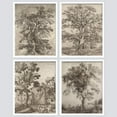 thumbnail image 2 of PixonSign Framed Wall Art Forest Tree Sketches Sepia Duotone Wilderness Prints, Set of 4 Nature Plants Paintings, Minimalism Wall Décor, Adhesive Canvas Poster for Home Decor - 12"x16" White, 2 of 5
