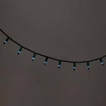 100ct Incandescent Smooth Mini Christmas String Lights with Green Wire -