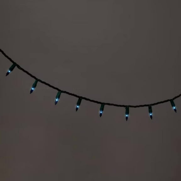 100ct Incandescent Smooth Mini Christmas String Lights with Green Wire -