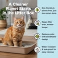 thumbnail image 2 of Kitty Sift Eco-Friendly Disposable Litter Box Jumbo for Cats (Pack of 6), 2 of 9
