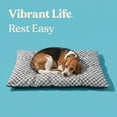 thumbnail image 4 of Vibrant Life Medium Tufted Pillow Pet Bed, Black and White Checkered, 35" x 27", 4 of 10