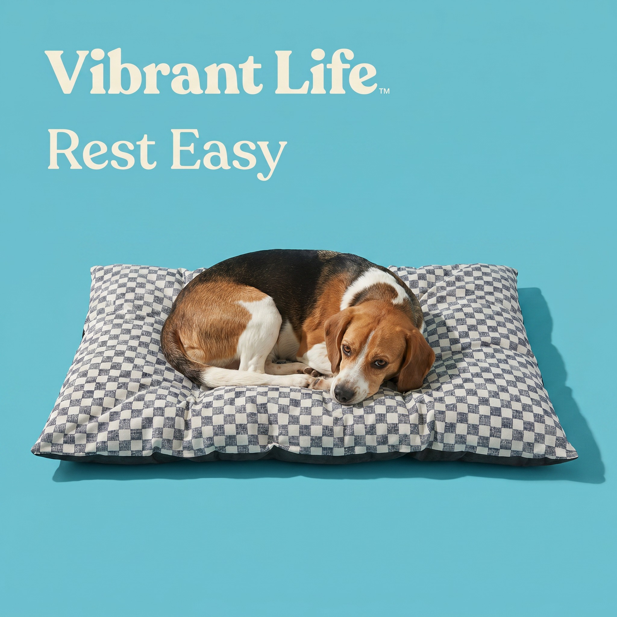 Vibrant Life Medium Tufted Pillow Pet Bed, Black & White, 35"x27" photo 4