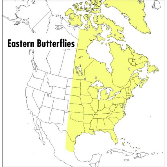 Peterson Field Guides A Peterson Field Guide to Eastern Butterflies, (Paperback)