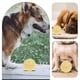 thumbnail image 2 of KAKOWELY Juguete de pelota para perros, juguete interactivo para entrenar a los cachorros, con forma de pelota y espinas., 2 of 4