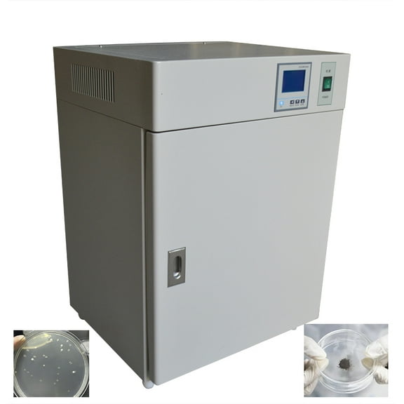 50L Constant Temperature Incubator Laboratory Instruments Teaching Tools 220V