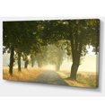 thumbnail image 2 of Rural Road Under Big Green Trees, 2 of 3
