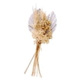 thumbnail image 2 of Ramo de hierba de la pampa seca real para fiesta en jarrón, flor de caña Phragmites, flor seca Plata, 2 of 8