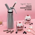 Professional WhippedCream Dispenser 3 Various Stainless Culinary
