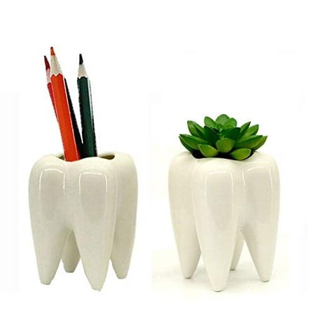 Pod Flower On Clearance 2 Pcs Teeth Garden Planter Mini White Ceramic Flower Plant Succulent Pots Containers ()
