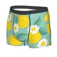 thumbnail image 2 of Kll Lemons Chamomile Flowers And Leaves Men'S Cotton Boxer Briefs Underwear-Medium, 2 of 9