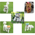 thumbnail image 5 of Sombrero para el sol para perros, gorra de béisbol para perros con orificios para las orejas, cordón ajustable, transpirable, diseño impermeable, protección UV para exteriores., 5 of 5