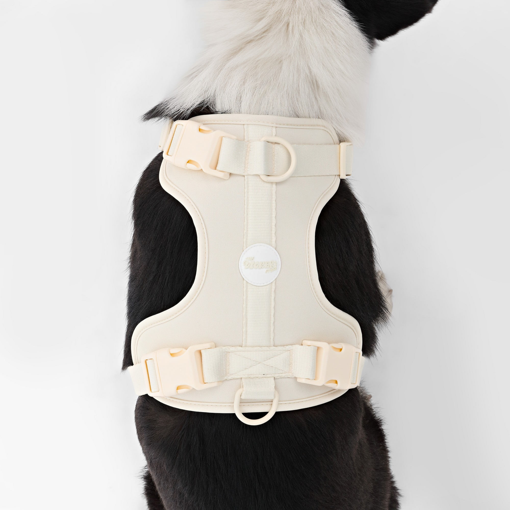 THE LICKER STORE Arlo Large Adjustable Soft Padded No Pull Pet Harness with 3 Buckles and 3 Leash Clips, Almond, HNS1003L