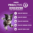 thumbnail image 4 of IAMS Advanced Health Skin & Coat Adult Dog Food Dry Chicken & Salmon Recipe, 36 lb. Bag, 4 of 11