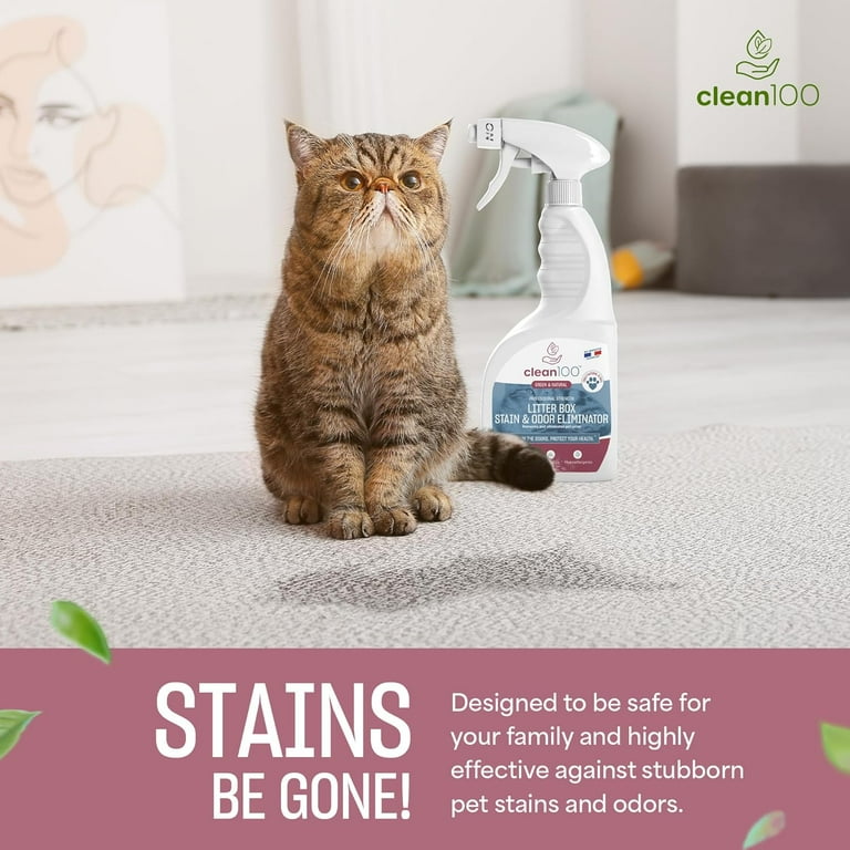 How to Get Rid of Cat Litter Box Smell: Ultimate Freshness Tips