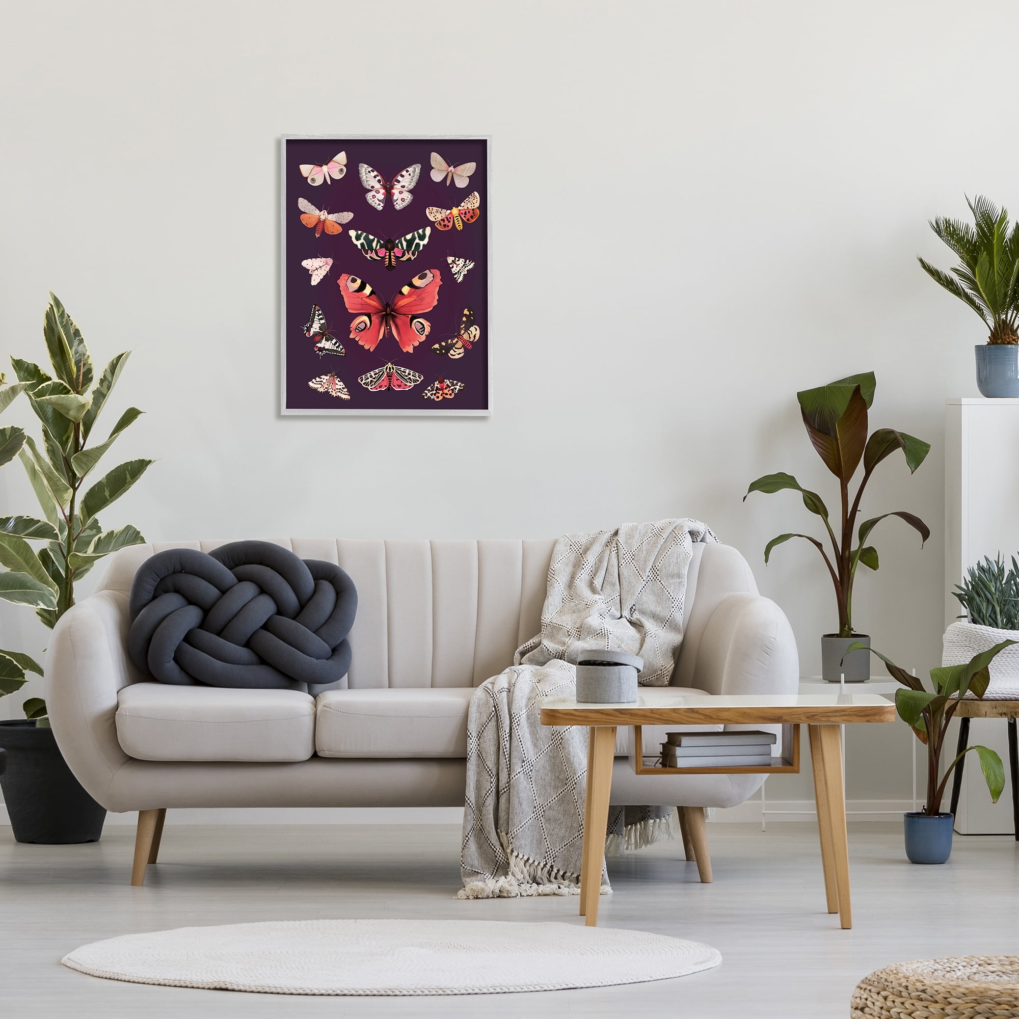 Stupell Industries Vintage Wildlife Moths Animals & Insects Painting Gray Framed Art Print Wall Art, 24 x 30