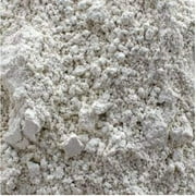 Dicalite Minerals Diatomaceous Earth Pool Filter D.E. 50LBS