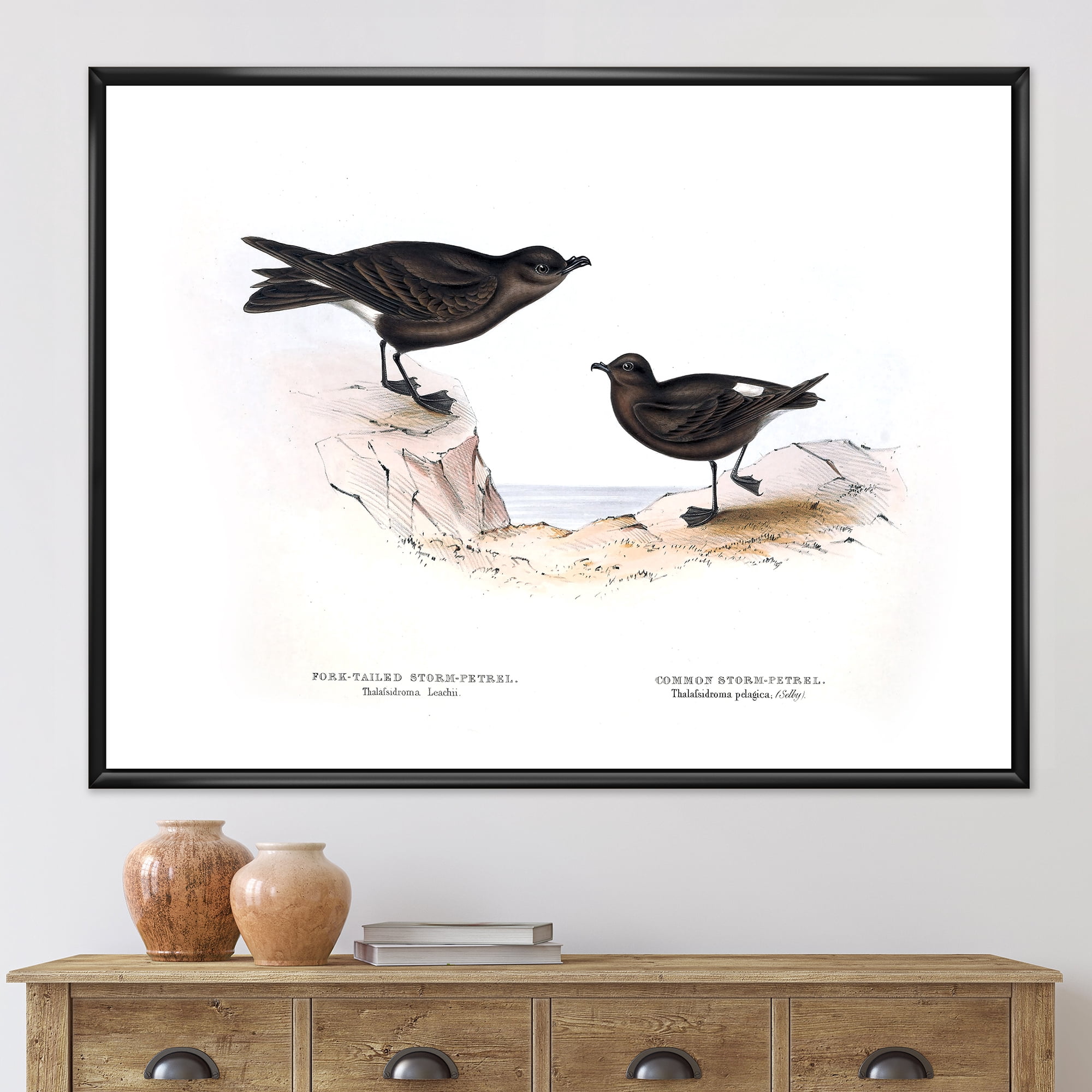Ancient Bird Of Europe III 32 in x 16 in Framed Painting Canvas Art Print, by Designart
