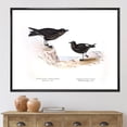 thumbnail image 2 of Designart 'Ancient Bird Of Europe III' Traditional Framed Canvas Wall Art Print, 2 of 5