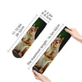 thumbnail image 4 of Naloa Squirrels Eating Peanuts On The Tree Ankle Socks for Women Non Slip Socks No Show Socks Classic Low Cut Casual Socks Casual Socks, 4 of 7