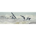 thumbnail image 3 of Nawrocke, Bruce 24x11 Black Modern Framed Museum Art Print Titled - Pelican Panel I, 3 of 5