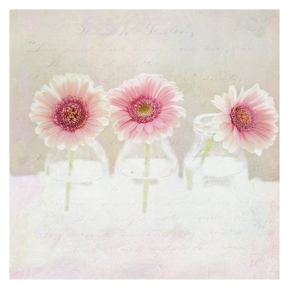 "3 Daisies" Painting Print on Wrapped Canvas