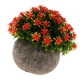 thumbnail image 1 of Flor en maceta de Gypsophila Flor de Hierba con Maceta para Plantar y Cultivar Decoración Jardines, para Disfrutar de Belleza de Naturaleza. Fanmusic Flor en maceta de Gypsophila, 1 of 7
