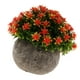 thumbnail image 3 of Flor de Simulación Bonsai Tree Planta de Hojas Artificiales con Maceta - naranja BLESIY Flor en maceta de Gypsophila falsa, 3 of 8