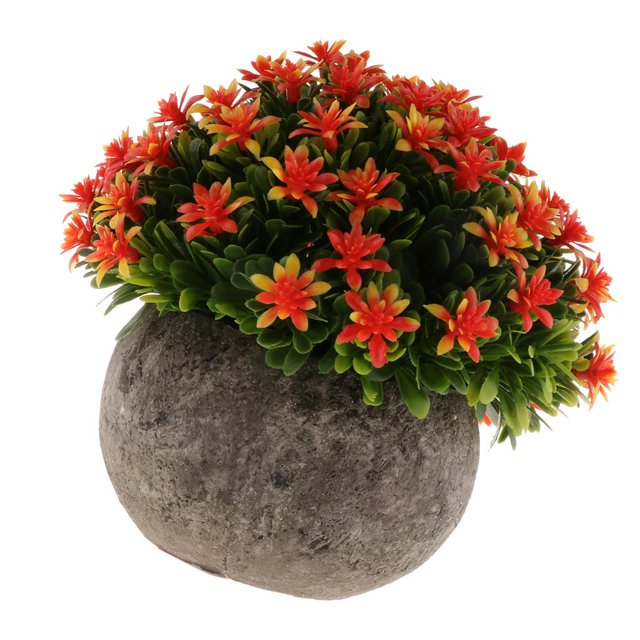 Flor en maceta de Gypsophila Flor de Hierba con Maceta para Plantar y Cultivar Decoración Jardines, para Disfrutar de Belleza de Naturaleza. Fanmusic Flor en maceta de Gypsophila