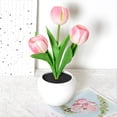 thumbnail image 3 of Lámpara de Tulipán Luces Lámpara de Mesa Lámpara de Escritorio de Flores Luz de Noche de Tulipán LED para Sala de Estar Dormitorio para Sala de Estar en Casa, 3 of 5