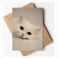thumbnail image 1 of Cartes de Vœux Relaxantes pour Chat Blanc, Vous Tes Invités, Invitations, 1 of 3