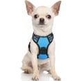 thumbnail image 1 of Rabbitgoo Arnés para Perros, Arnés para Mascotas Sin Tirones con 2 Clips para Correa, Chaleco Acolchado Suave Ajustable para Perros, Chaleco Oxford Reflectante para Mascotas sin Estrangulamiento con M, 1 of 4