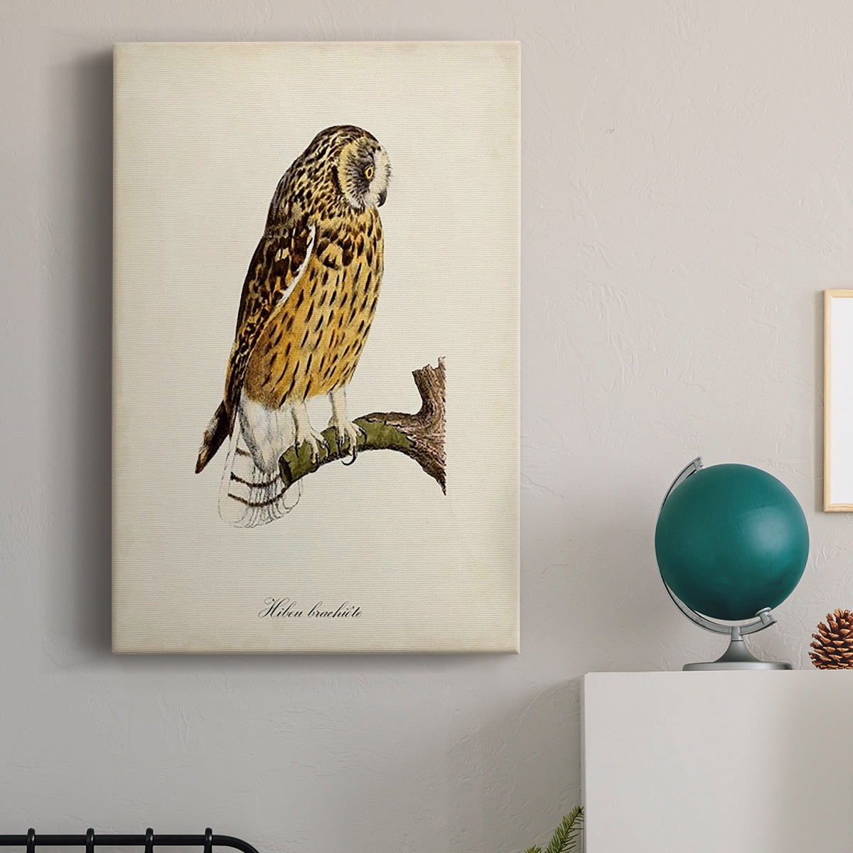 French Owls II Premium Gallery Wrapped Canvas - Ready to Hang