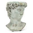 thumbnail image 1 of Abbott Collection AB-27-DAVID-580-XS 6 in. Male Head Planter, Grey - Extra Small, 1 of 4