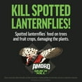 thumbnail image 4 of Amdro Quick Kill Outdoor Insect Killer Liquid Concentrate, Kills over 500 Insects; 32 oz., 4 of 16