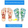 thumbnail image 3 of Calcetines de acupresión y reflexología ATYUWZP para mujer y hombre, 3 of 7