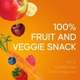thumbnail image 3 of Sun Rype Fruit to Go 100% Fruit and Veggie Snack Pack, 3 of 7