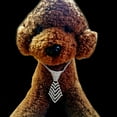 thumbnail image 3 of CHOK Collier Pendentif pour Chiot Élégant, 3 of 7