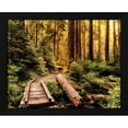 thumbnail image 2 of Andy Amos 14x12 Black Modern Wood Framed Wall Art Titled - Nature Hiking Trail, 2 of 6
